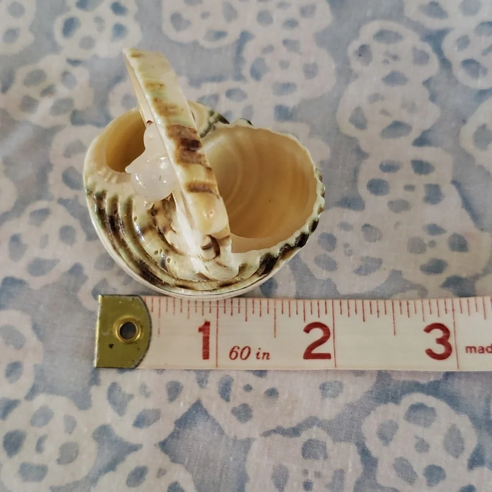 Carved Seashell with Rabbit - Picture 13 of 15